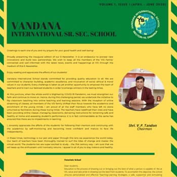 VIS Primary Newsletter